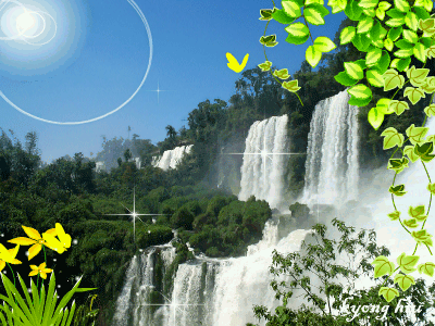 image.gif