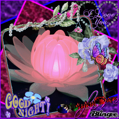 image.gif
