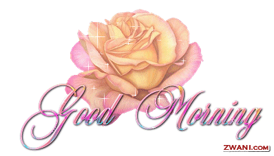 image.gif