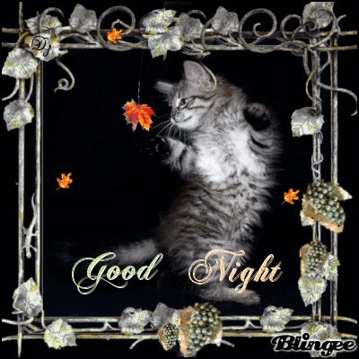 image.gif