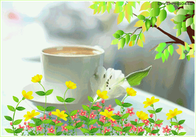 image.gif