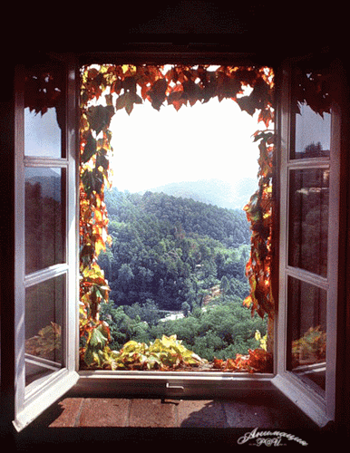 image.gif