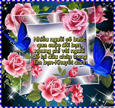 image.gif