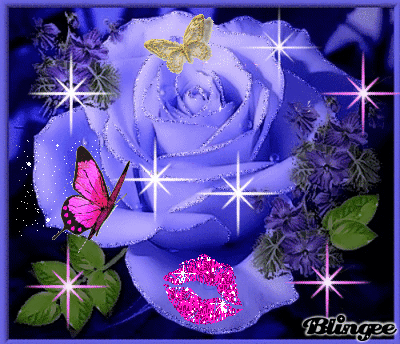 image.gif