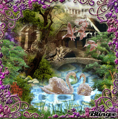 image.gif