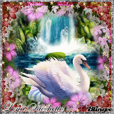 image.gif