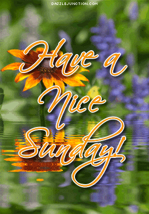 image.gif