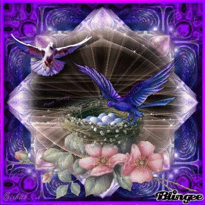 image.gif