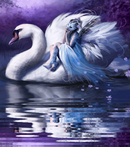 image.gif