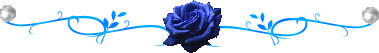 image.gif