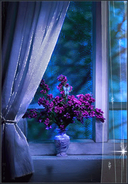 image.gif