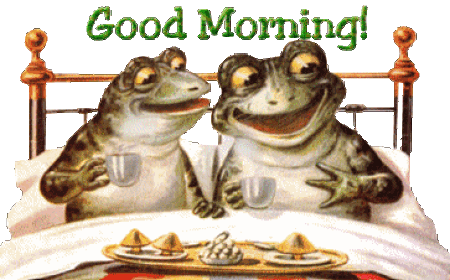 image.gif