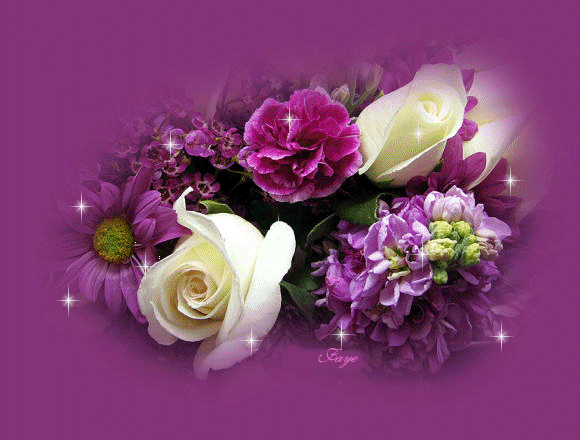 image.gif