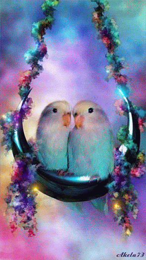 image.gif