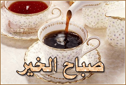 image.gif
