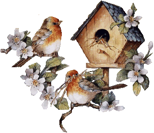 image.gif