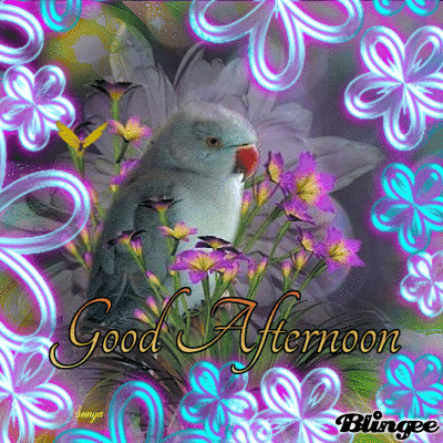 image.gif