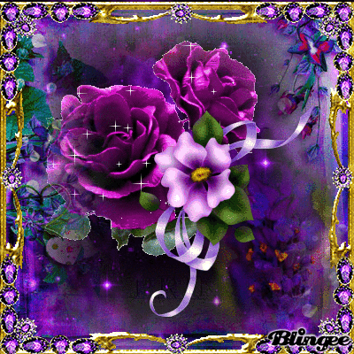 image.gif
