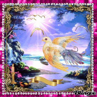 image.gif