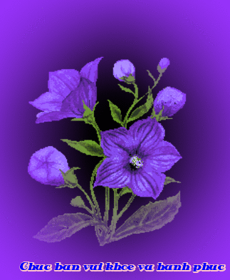 image.gif