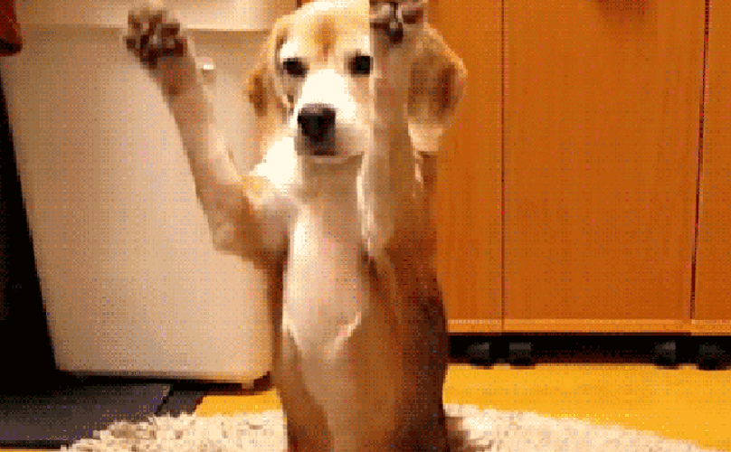 image.gif