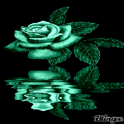 image.gif