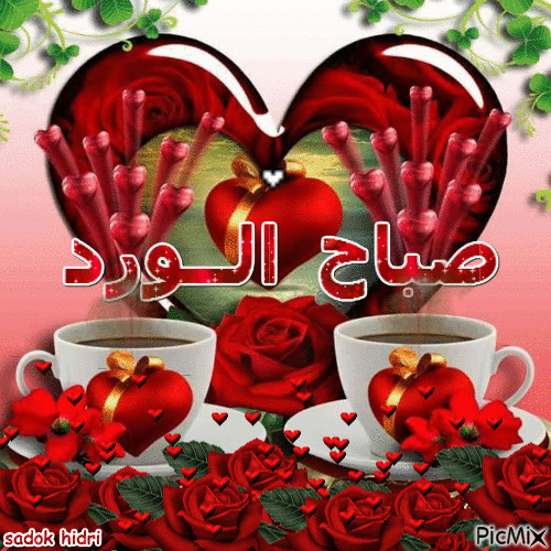 image.gif