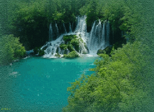 image.gif
