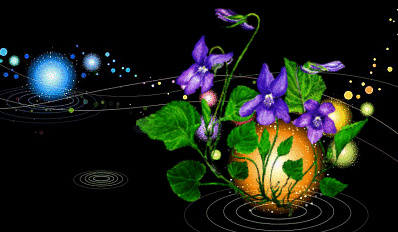 image.gif