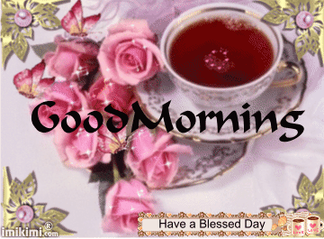 image.gif