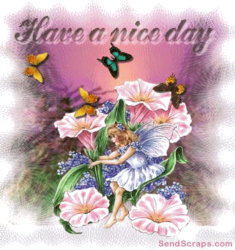 image.gif