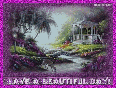 image.gif