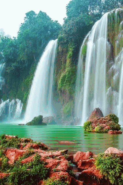image.gif
