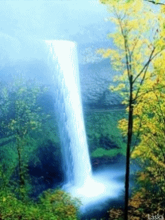 image.gif