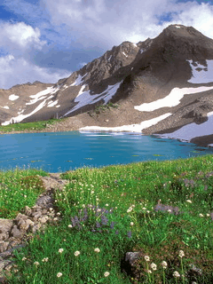 image.gif