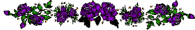 image.gif