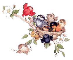 image.gif