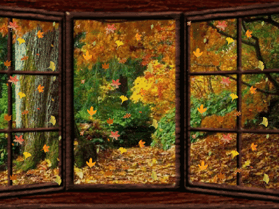 image.gif