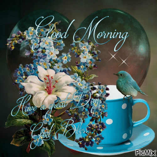 image.gif