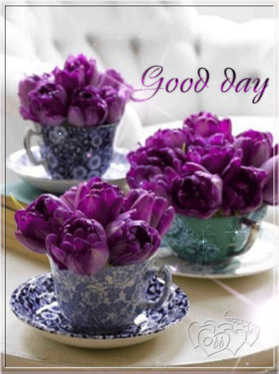 image.gif