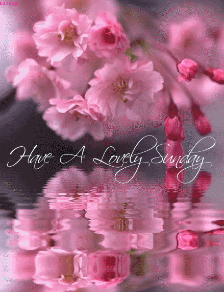 image.gif