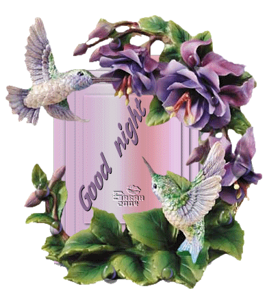 image.gif