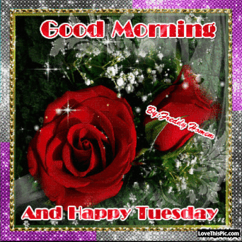 image.gif