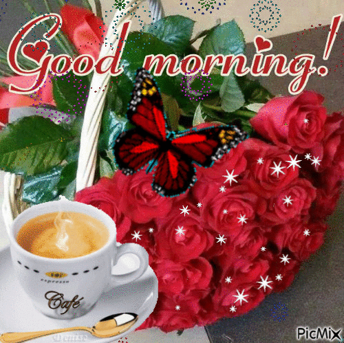 image.gif