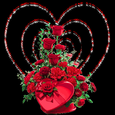 image.gif