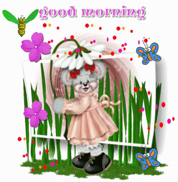 image.gif
