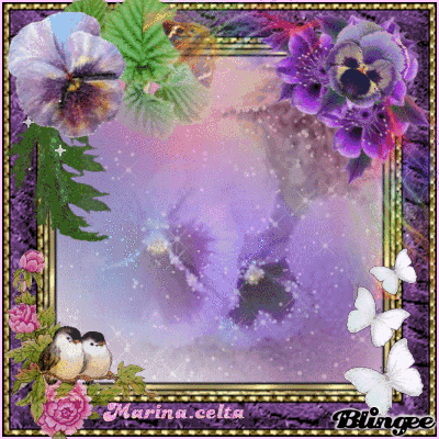 image.gif