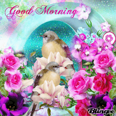 image.gif