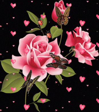 image.gif