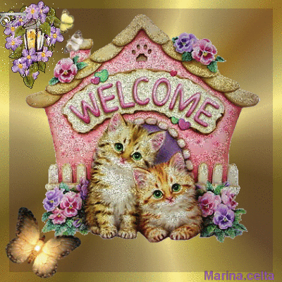 image.gif